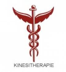 Kinésithérapeute & Ostéopathe